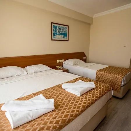 Hotel Ergin Sarimsakli
